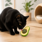 Jouet herbe à chat avocat — catnip naturel, couvercle conservateur | Mileoo