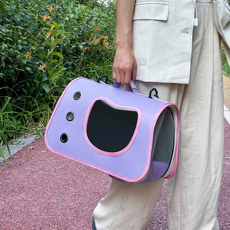 Sac transport chat avion violet poignée cabine 40x26x22
