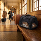 Sac transport chat noir vue intérieure compartiment