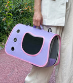 Sac transport chat avion violet sac à dos cabine