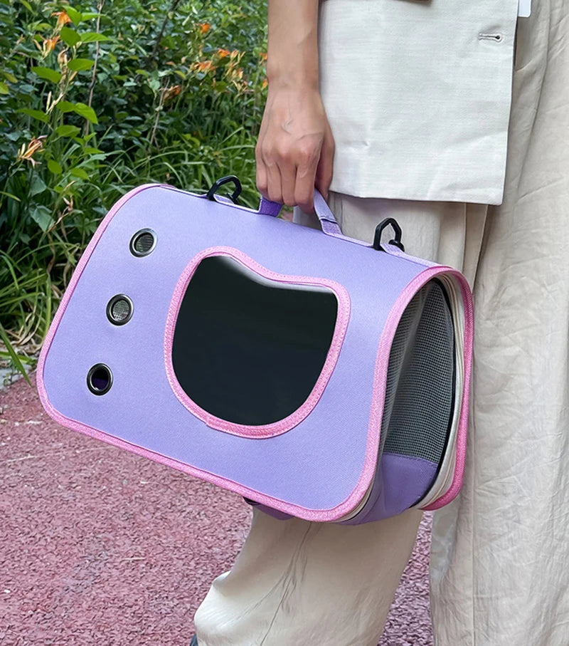 Sac transport chat avion violet sac à dos cabine