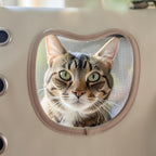 Sac de transport chat avion hublot transparent cabine
