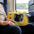 Sac transport chat avion voyage léger confortable cabine