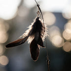 Jouet chat canne plumes détail plumes naturelles